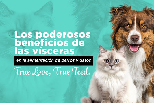 Los Poderosos Beneficios de las Vísceras en la Alimentación de Perros y Gatos