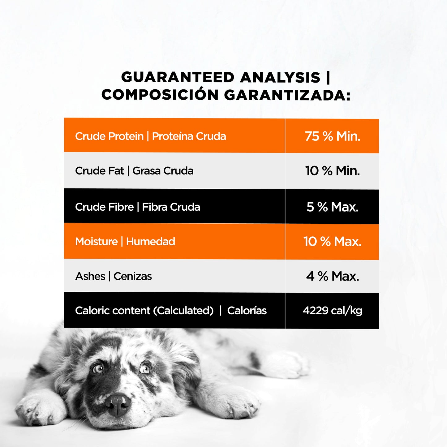 Pulmón de Res Liofilizado