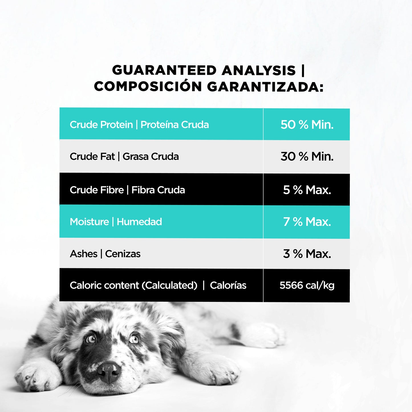 Corazón de Pollo Liofilizado